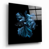 Betta Fish Glass Wall Art.